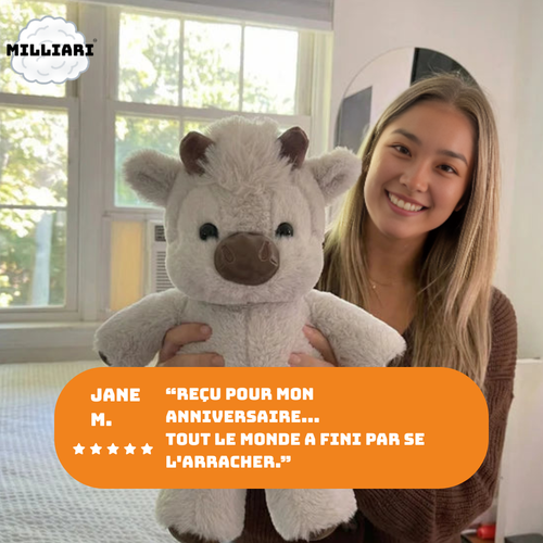 Laplush